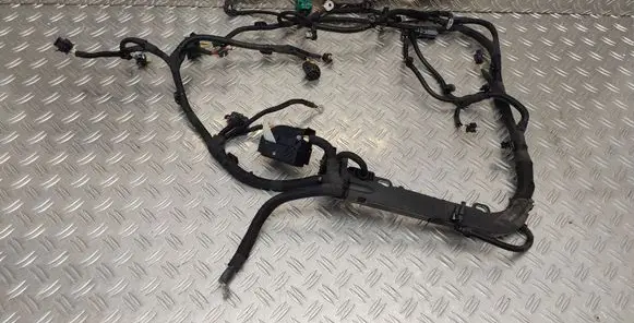 Engine installation wiring loom