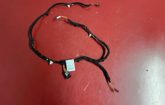 Rear door wiring loom