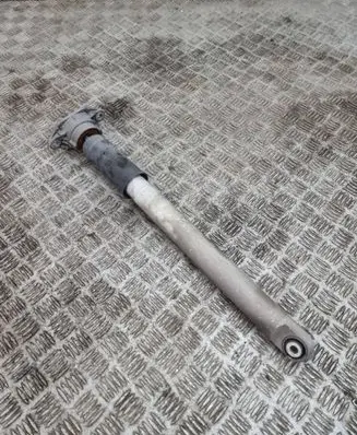 Porsche Panamera (970) Rear shock absorber/damper 97033316133
