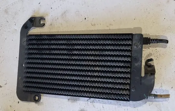 Renault Trafic III (X82) Fuel cooler (radiator) 