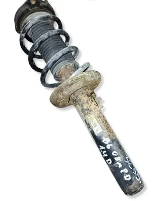 Volkswagen PASSAT B6 Front shock absorber/damper 