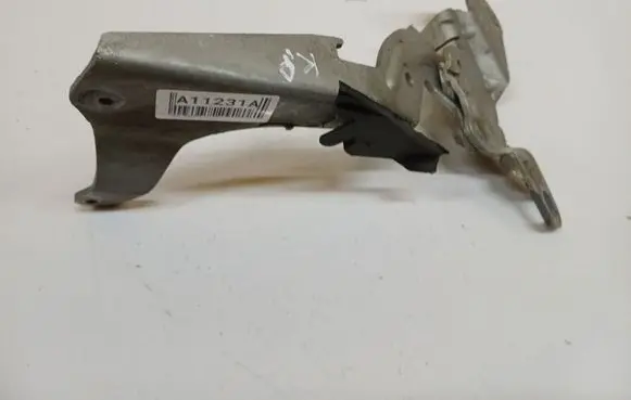 Renault Espace - Grand espace IV Engine bonnet/hood hinges 011693G