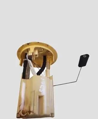 Citroen DS3 In-tank fuel pump