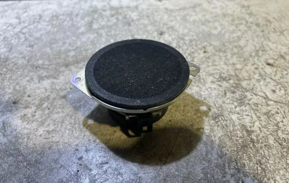 Front door speaker
