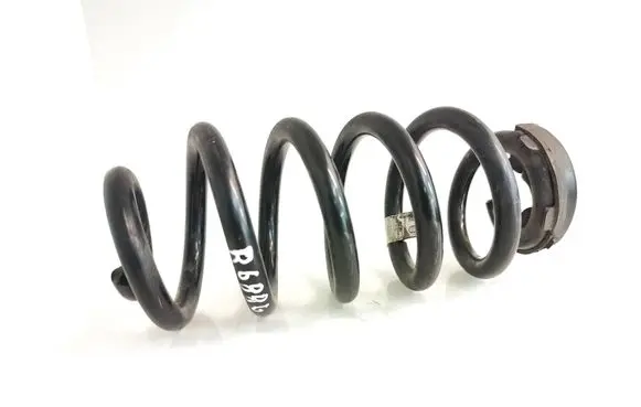 Volkswagen ID.4 Rear coil spring 1EA511103E