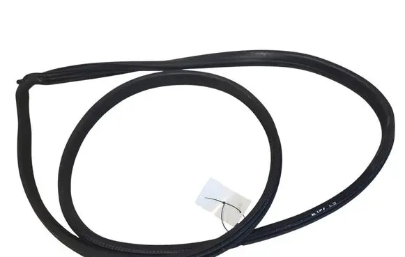 Ford Fiesta Rubber seal front door (on door) 