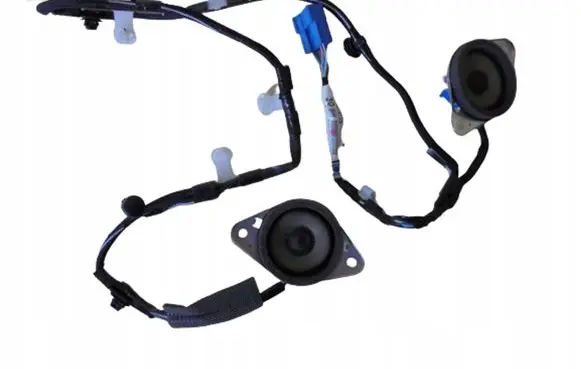 Toyota Prius+ (ZVW40) Panel speaker 8214247300