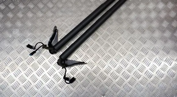 Tailgate strut