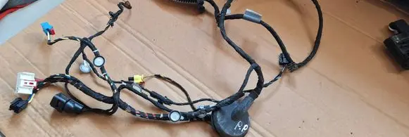 Front door wiring loom