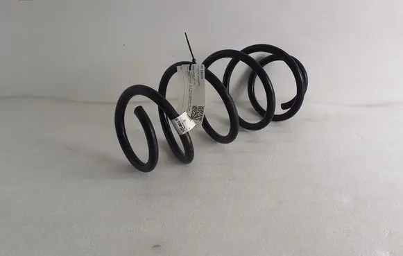 BMW X3 F25 Front coil spring 6787135