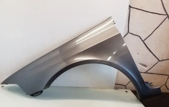 Renault Laguna II Fender