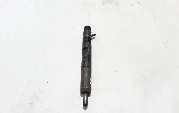 Renault Kangoo II Fuel injector 8200827965