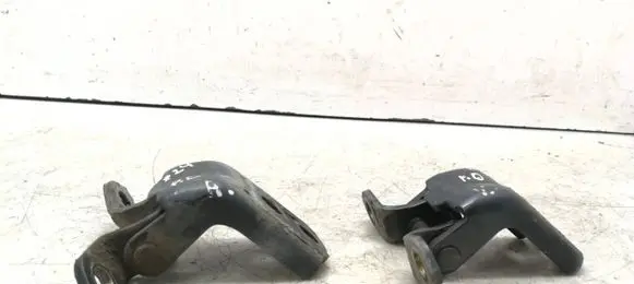 Nissan Pathfinder R51 Front door hinge set B25K