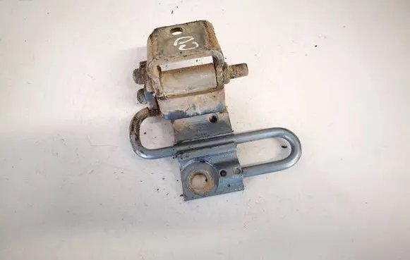 Rear door lower hinge