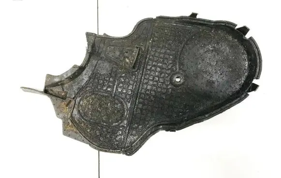 Volvo XC90 Timing belt guard (cover) 30731283
