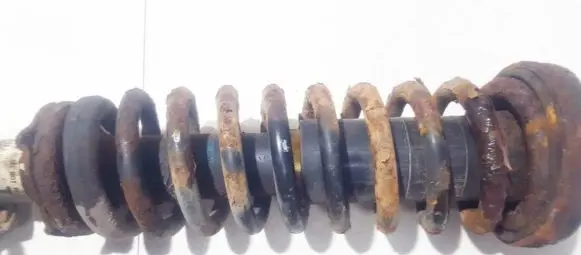 Honda Accord Front coil spring