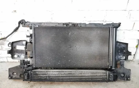 Renault Megane III Radiator support slam panel 25021610270 00004R 05150RT