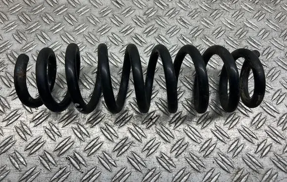 Rear coil spring