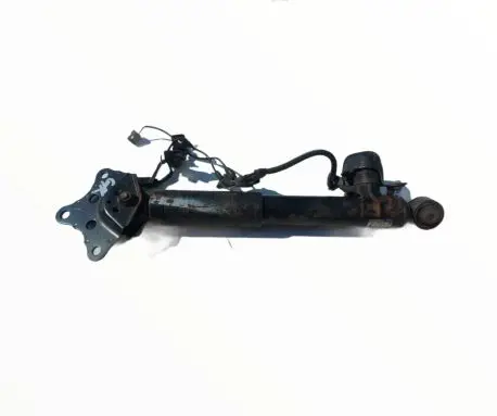 Lexus RX 450H Rear shock absorber/damper 4854048392