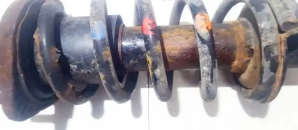 Honda Civic Rear coil spring