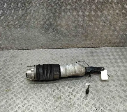 Porsche Panamera (971) Air suspension front shock absorber 971616038F