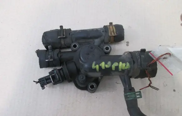 Thermostat/thermostat housing