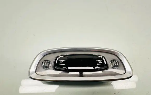 Volvo V60 Rear seat light 31694120 3169412