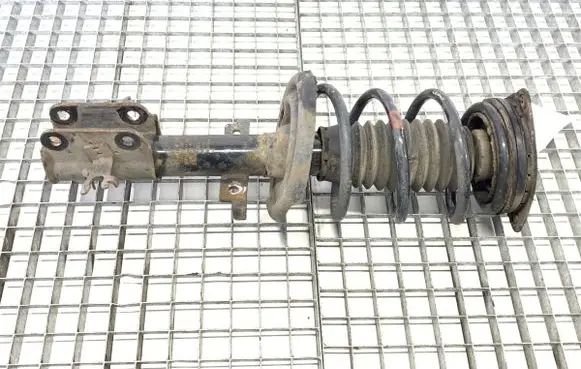 Renault Laguna III Front shock absorber/damper