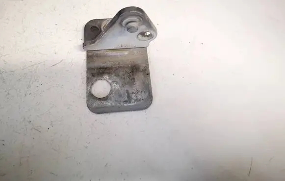 Rear door lower hinge