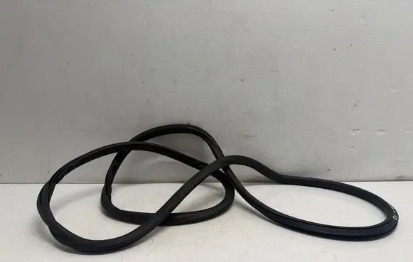 Opel Adam Front door rubber seal 13412820