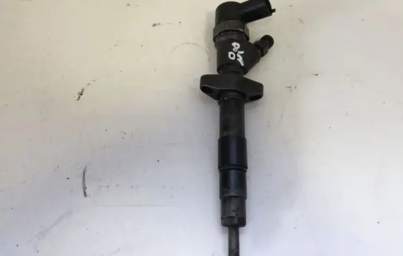 Renault Espace - Grand espace IV Fuel injector 8200084534
