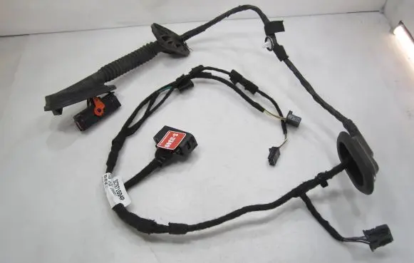 Rear door wiring loom