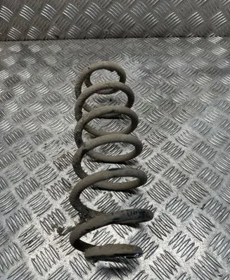 Rear coil spring