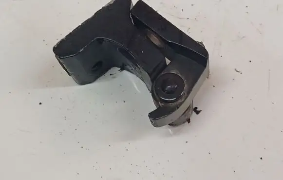 Rear door lower hinge