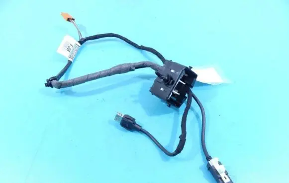 Front door wiring loom