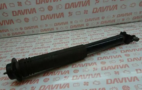 Infiniti Q60 Rear shock absorber/damper 562101NL0A 130913-B