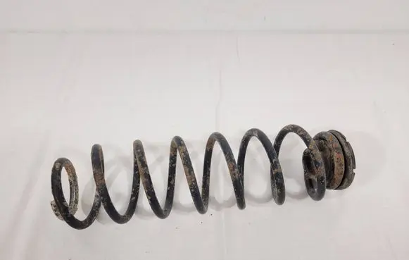Rear coil spring