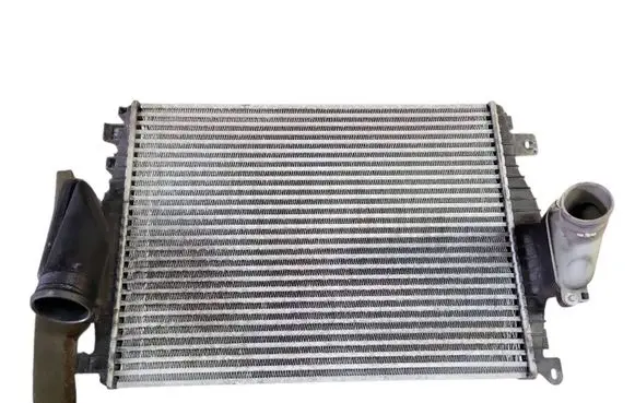 Jaguar XF X250 Coolant radiator