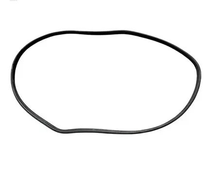 Renault Clio III Rubber seal front coupe door 