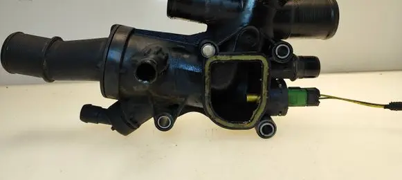 Thermostat/thermostat housing