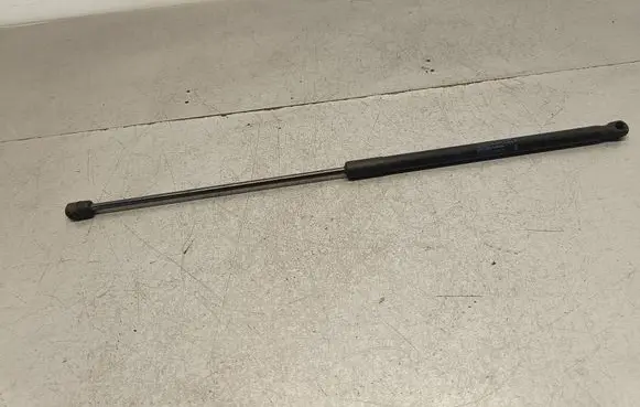 Tailgate/trunk strut/damper