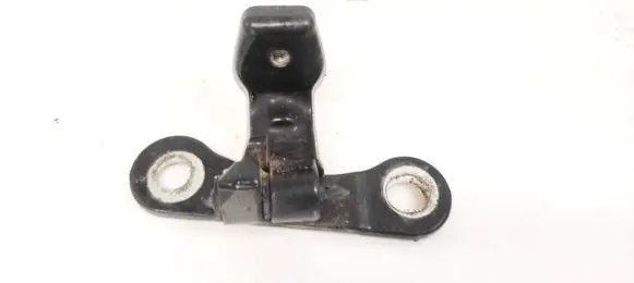 Opel Signum Rear door lower hinge