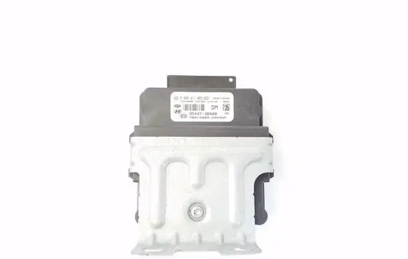 Hyundai Santa Fe Other control units/modules 954473B400