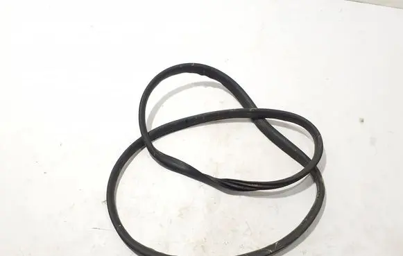 Renault Espace VI Front door rubber seal 808331550R