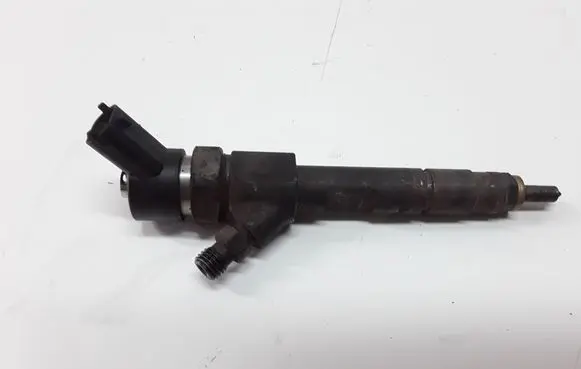 Renault Megane II Fuel injector 8200100272 0445110110B