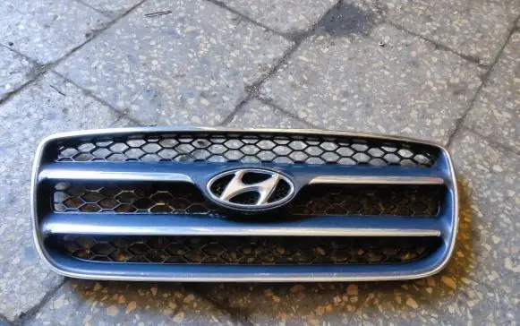 Hyundai Santa Fe Front bumper upper radiator grill E865612B020