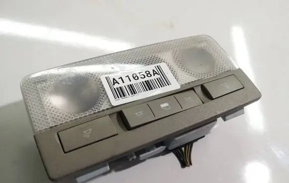 Opel Insignia A Front seat light 316627975
