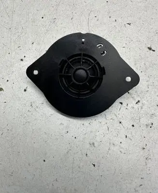 Panel speaker