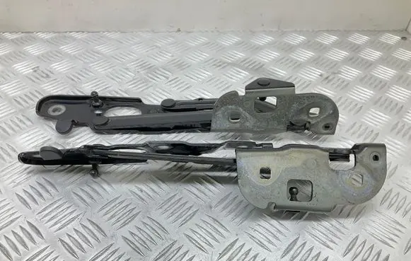 Tailgate/trunk/boot hinge
