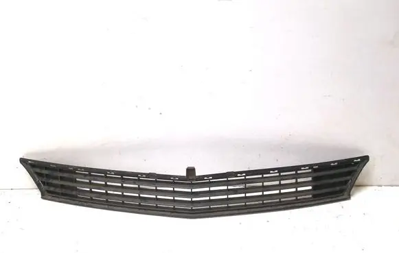 Mercedes-Benz B W245 Front bumper lower grill A1698850123